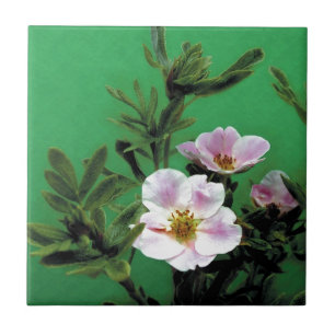 Carreau fleurs de rose rose sauvage en vert, Élégant