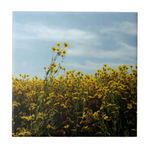 Carreau Fleurs de soleil fleurs sauvages