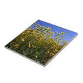 Carreau Fleurs de soleil fleurs sauvages (Côté)