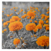 Carreau Fleurs de souci (Devant)