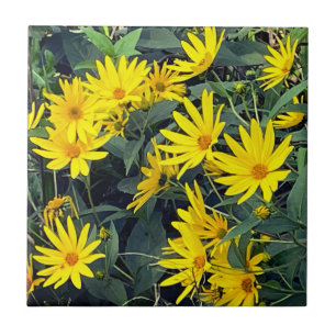 Carreau Fleurs de topinambour
