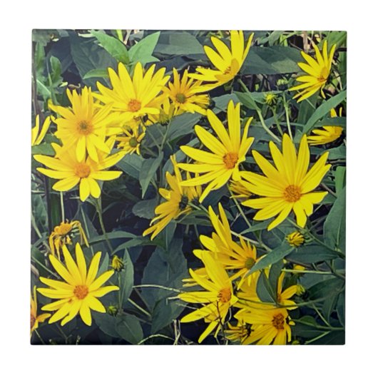 Carreau Fleurs de topinambour (Devant)