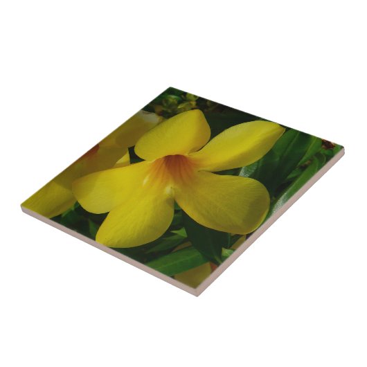 Carreau Fleurs de trompette d'or II Tropical (Côté)