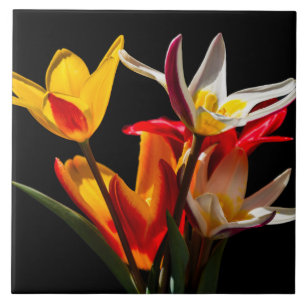 Carreau Fleurs de tulipe contre arrière - plan noir