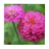 Carreau Fleurs de Zinnia rose vif (Devant)