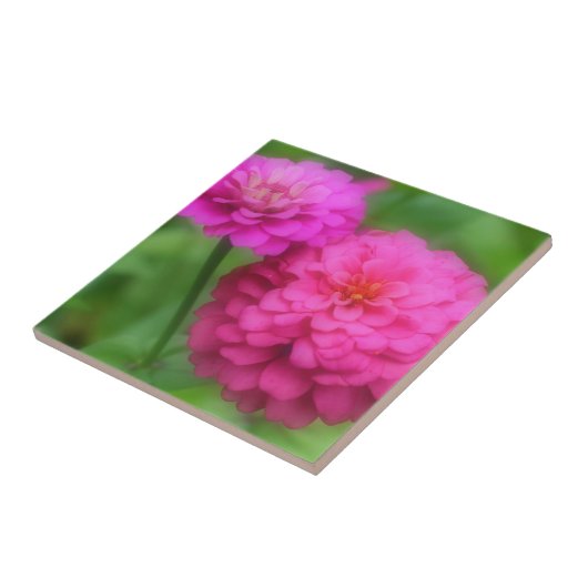 Carreau Fleurs de Zinnia rose vif (Côté)