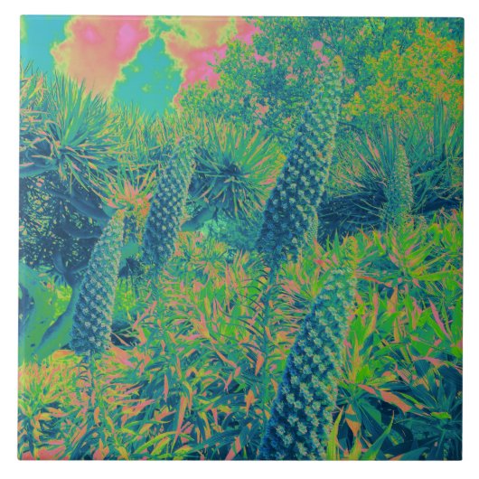 Carreau Fleurs d'Echium Vibe tropicale (Devant)