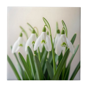 Carreau Fleurs délicates de perce-neige de printemps
