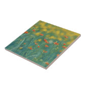 Carreau Fleurs d'été (champ floral) (Fleurs rouges) (Côté)