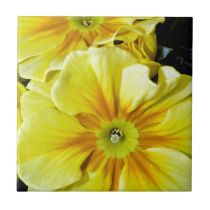 Carreau Fleurs d'hibiscus jaunes