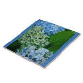 Carreau Fleurs d'Hydrangée (Côté)