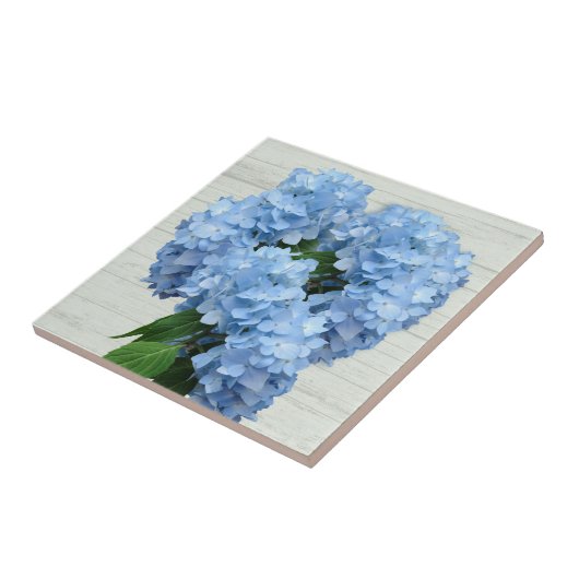 Carreau Fleurs d'hydrangée bleu clair (Côté)