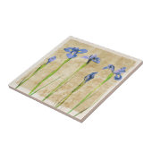 Carreau Fleurs d'Iris bleu violet Brown Arrière - plan flo (Côté)