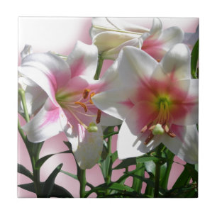 Carreau Fleurs Fleurs Fleurs Printemps Jardin Amour Douche