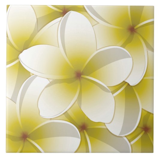 Carreau Fleurs frangipani/Plumeria (Devant)