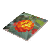 Carreau Fleurs italiennes (Côté)