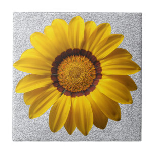 Carreau Fleurs jaunes, texture murale en pierre grise arri