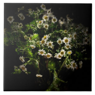 Carreau Fleurs, Marguerite