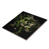 Carreau Fleurs, Marguerite (Côté)