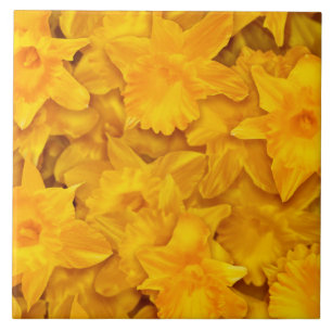 Carreau Fleurs Narcissus