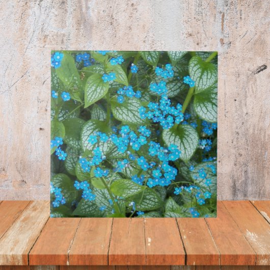 Carreau Fleurs Petit Bleu Brunnera Floral