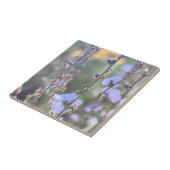 Carreau Fleurs Plantes Pale Violet Bleu Chicoré (Côté)