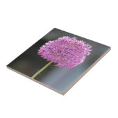 Carreau Fleurs pour tous (Côté)