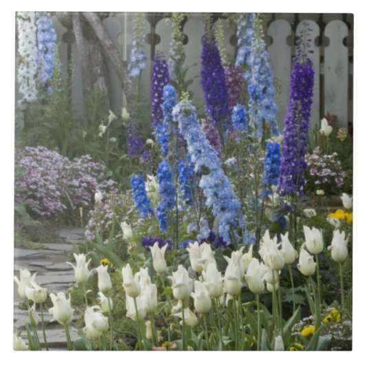 Carreau Fleurs printanières le long d'un chemin de jardin, (Devant)