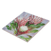 Carreau Fleurs Protea (Côté)