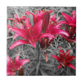 Carreau Fleurs roses (Devant)