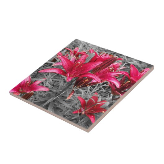 Carreau Fleurs roses (Côté)