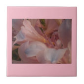 Carreau Fleurs roses (Devant)