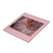 Carreau Fleurs roses (Côté)