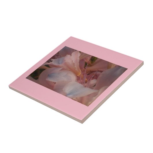 Carreau Fleurs roses (Côté)