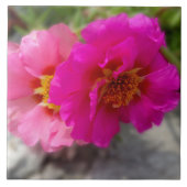 Carreau Fleurs roses au soleil (Devant)