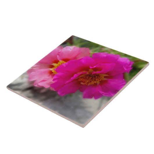 Carreau Fleurs roses au soleil (Côté)