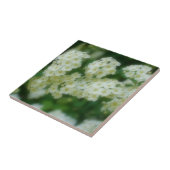 Carreau Fleurs Roses blanches sauvages à roulettes Nature (Côté)