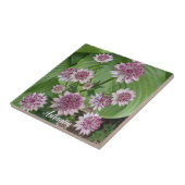 Carreau Fleurs roses d'Astrantia Floral (Côté)