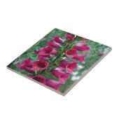 Carreau Fleurs roses de renard (Côté)