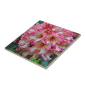 Carreau Fleurs roses et blanches de rhododendron (Côté)