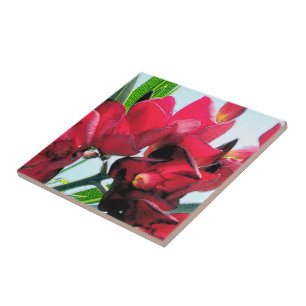 Carreau Fleurs rouges