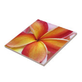 Carreau Fleurs rouges jaunes d'Hawaï de Frangipani de (Côté)