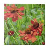 CARREAU FLEURS ROUGES RUDBECKIA (Devant)