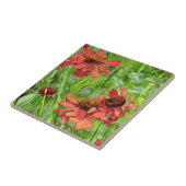 CARREAU FLEURS ROUGES RUDBECKIA (Côté)