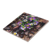 Carreau Fleurs sauvages (Côté)