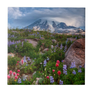 Carreau Fleurs sauvages