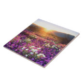 Carreau Fleurs sauvages au coucher du soleil | Anza-Borreg (Côté)