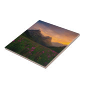 Carreau Fleurs sauvages de glacier (Côté)