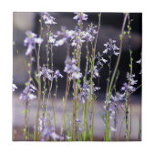 Carreau Fleurs sauvages de lavande (Devant)