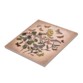 Carreau Fleurs sauvages floraux botaniques vintages (Côté)